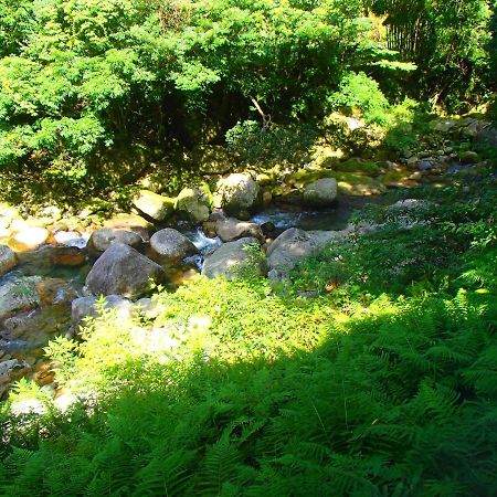 屋久島コテージ対流山荘 Yakushima  Eksteriør bilde