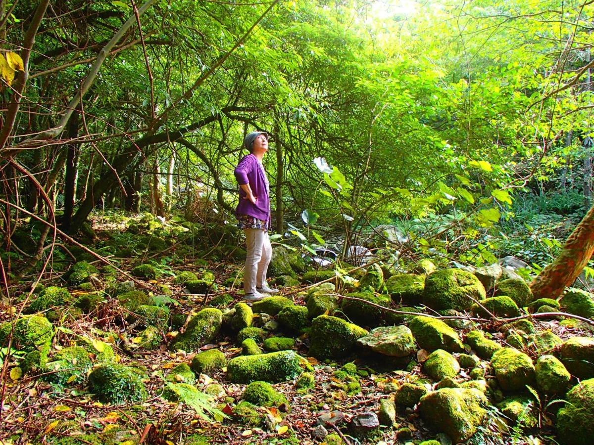 屋久島コテージ対流山荘 Yakushima  Eksteriør bilde