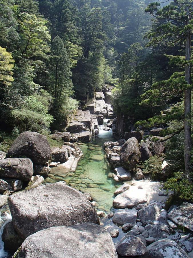 屋久島コテージ対流山荘 Yakushima  Eksteriør bilde